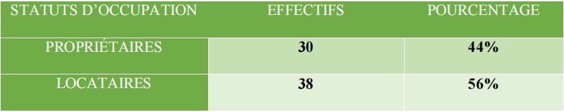Tableau 17 : Statuts d’occupation des chefs de ménages