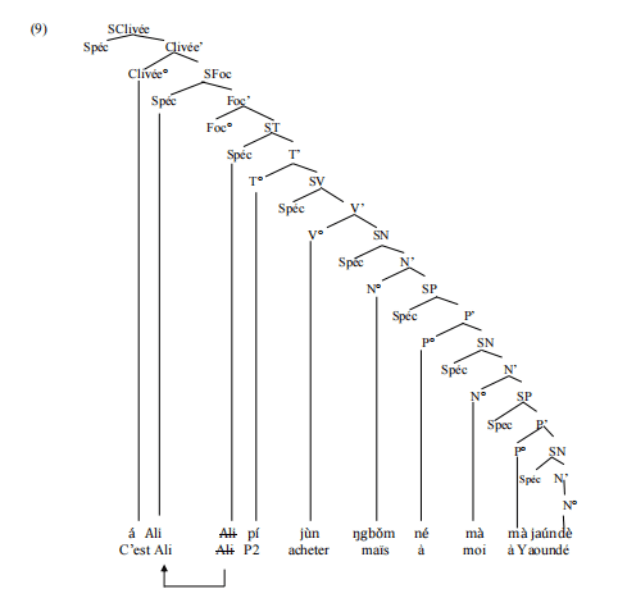 L’arbre suivant représente la phrase (7b).