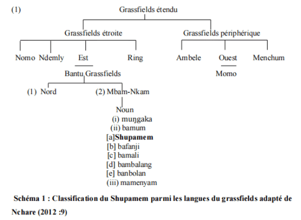 Classification du Shupamem parmi les langues du grassfields adapté de Nchare (2012 9)