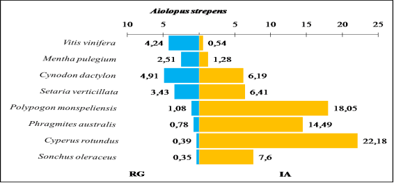 Comparaison entre les indices d’attraction des espèces végétales ingérées par