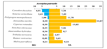 Comparaison entre les indices d’attraction des espèces végétales ingérées par