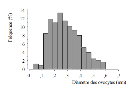 Distribution des fréquences de diamètre des ovocytes dans l’ovaire d’une femelleau stade IV de maturité sexuelle