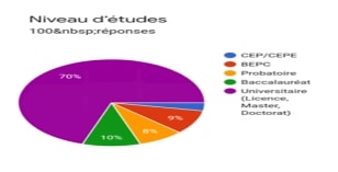 Graphique indiquant le niveau d'études des répondants