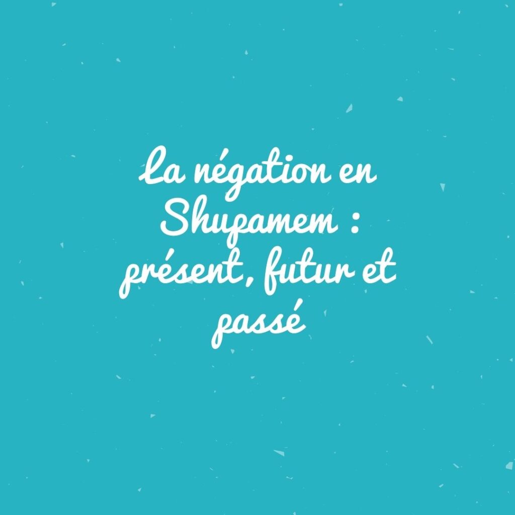La négation en Shupamem présent, futur et passé