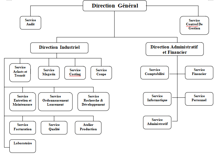 Organigramme de la société