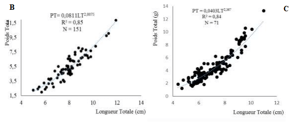 Relations Poids-longueursde Awaous lateristriga (A), des femelles (B) et des mâles