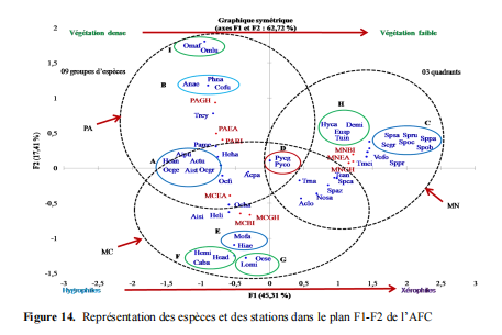 Représentation des espèces et des stations dans le plan F1-F2 de l’AFC