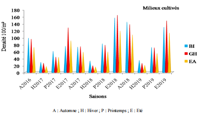Variation saisonnière de la densité de population d’Orthoptères (adultes et larves)