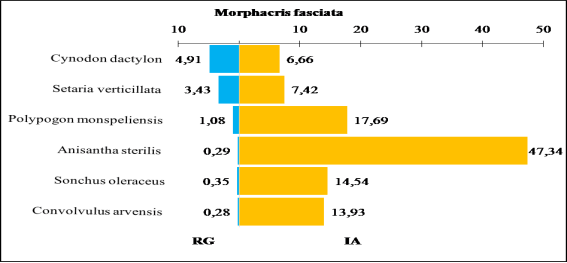 Comparaison entre les indices d’attraction des espèces végétales ingérées