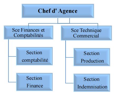 Organigramme nominatif des agences types « B