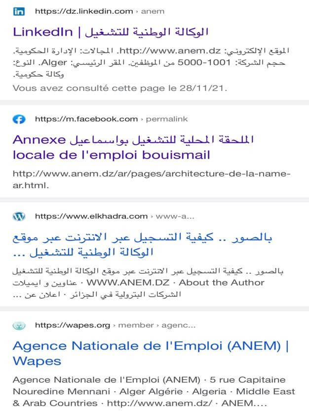 site web de l'ANEM