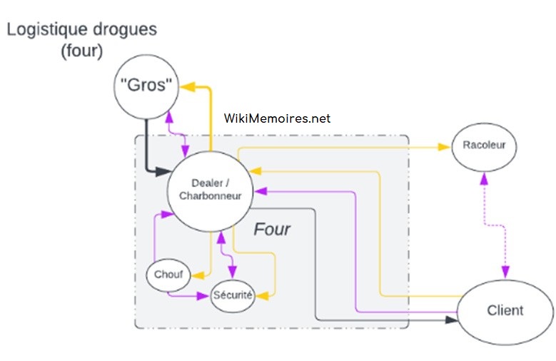 Système de flux 7 : Parallèle entre la distribution classique et la logistique des drogues dans les fours, conception Julien Magana 2022, sources académiques de DUT GLT à l'IUT d'Alençon (Cours de Logistique Globale de Monsieur Danos Gilles)