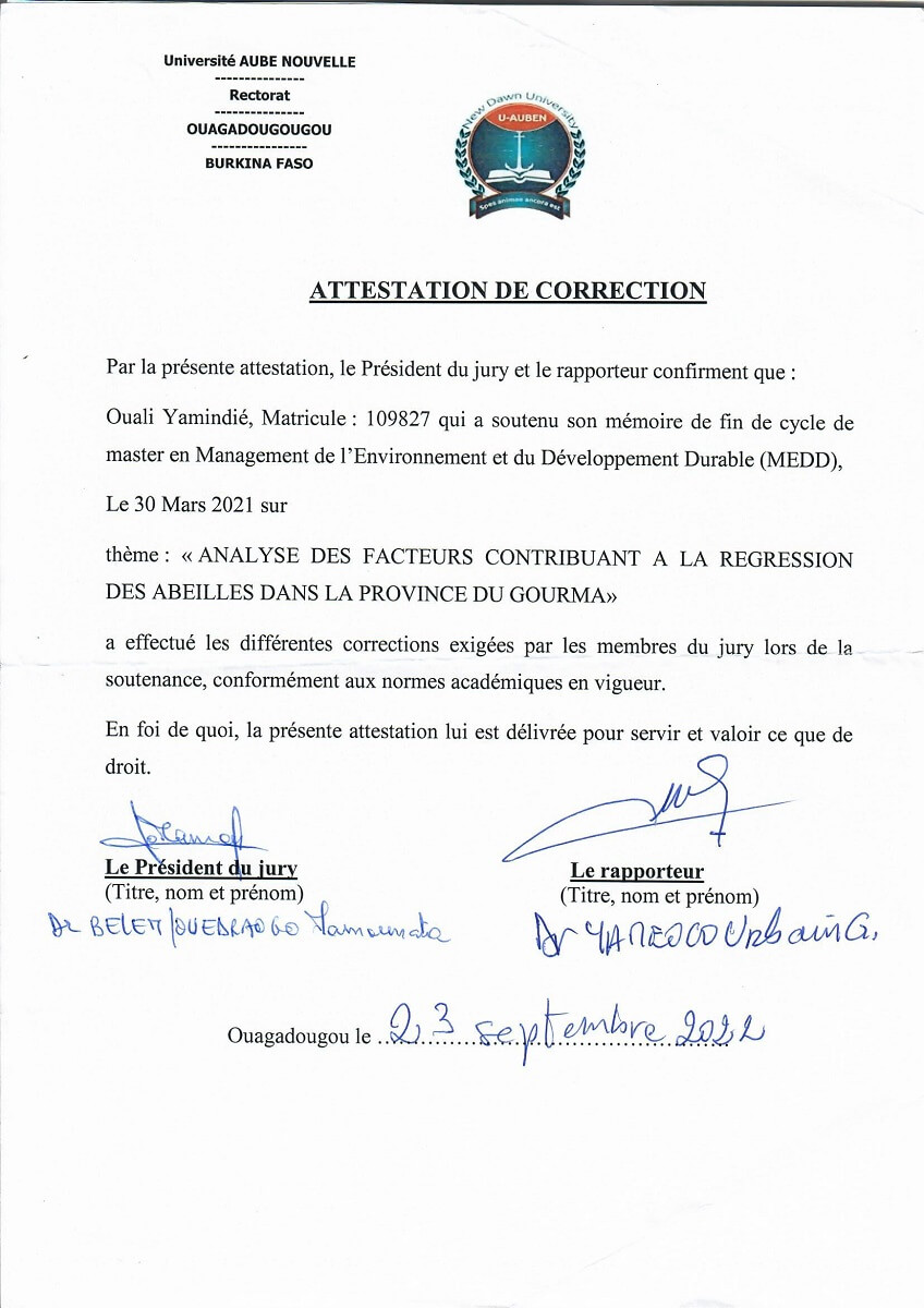 7 clés pour comprendre la diminution des abeilles au Burkina Faso 