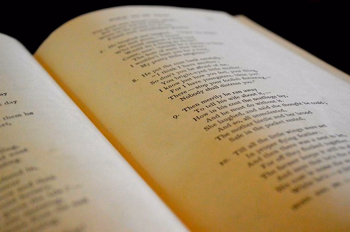 Monologue et discours intérieur dans Ravisseur