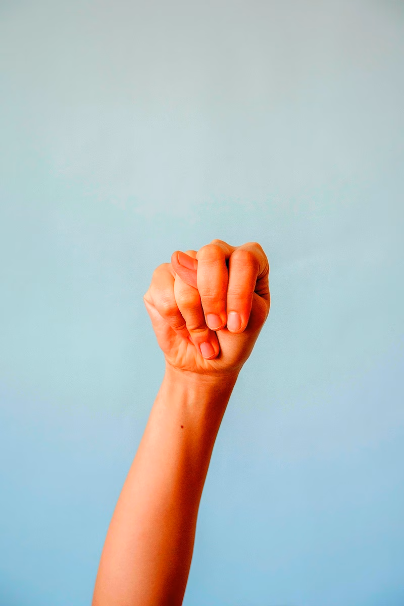 Polyphonie de la langue française : enjeux politiques Polyphonie de la langue française : enjeux politiques