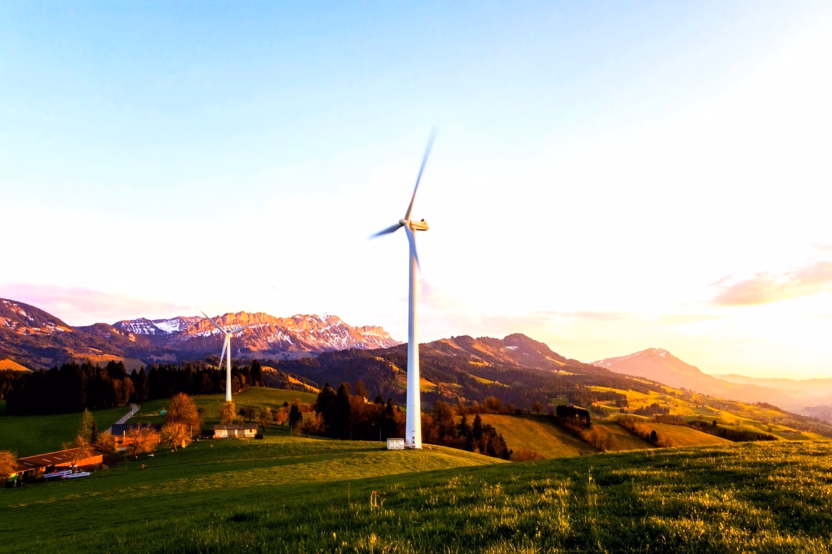 Stratégies de marketing écologique en Afrique