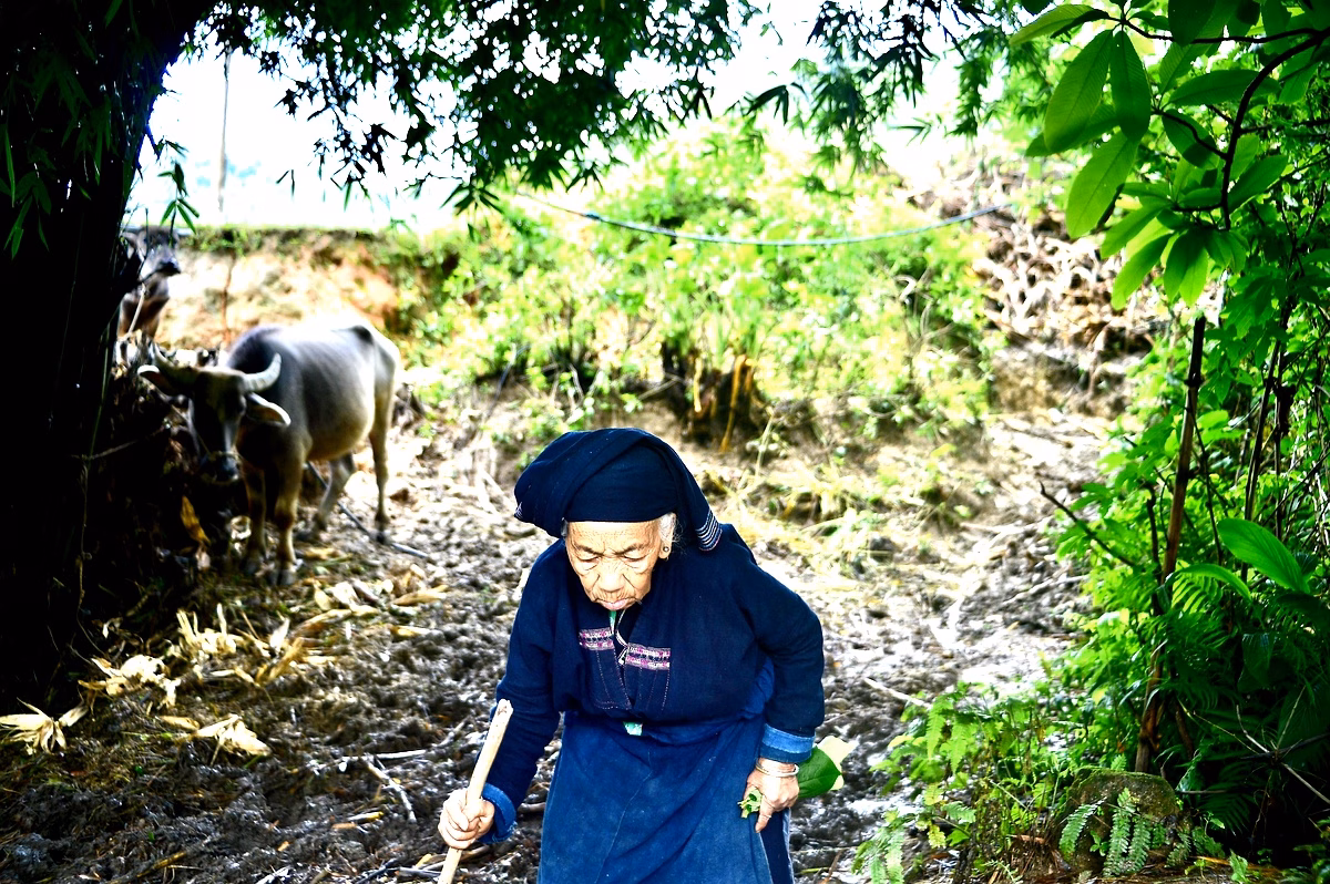 Approche triple bottom line et green marketing