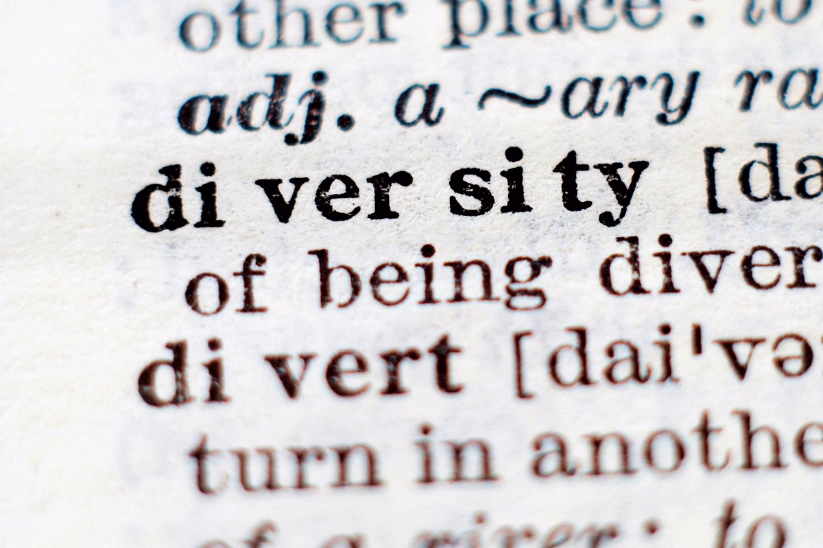 Choix éditoriaux du DDF : enjeux et perspectives