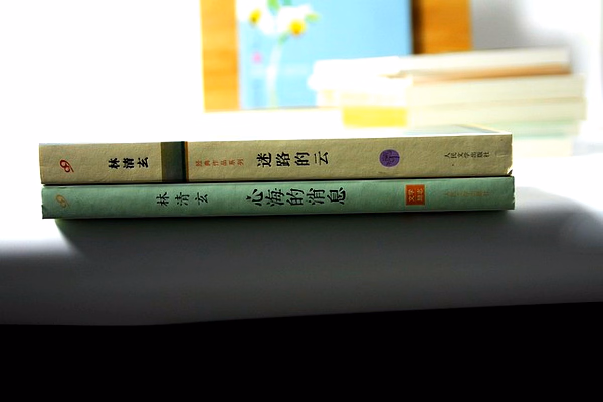 Relations affectives dans Ravisseur de Leila Marouane