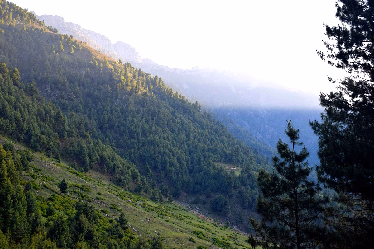 Impact des IDE sur l'environnement en Algérie : Analyse