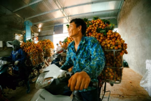 L’IMMIGRATION ET L’EMIGRATION AUX PAYS AFRICAINS : LE NIGER COMME EXEMPLE