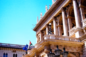 Responsabilité de l'État pour la police à Goma