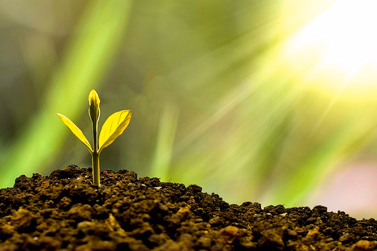 Ventilation des IDE en Algérie : Analyse approfondie