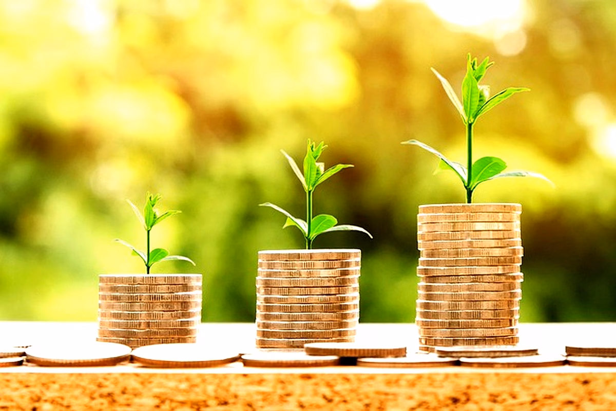 Impact des IDE sur l'économie algérienne : Analyse