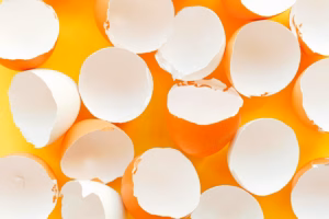 Elimination de bleu de méthylène par un materiau naturel