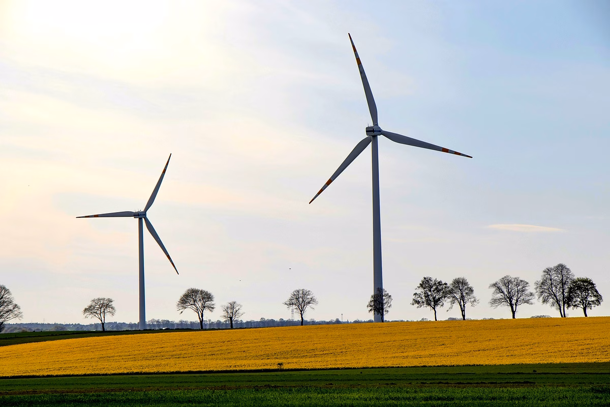 Énergies renouvelables en Afrique : green marketing