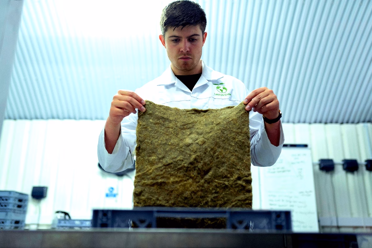 Stabilisation des sols par fibres de palmier à Igana Stabilisation des sols par fibres de palmier à Igana