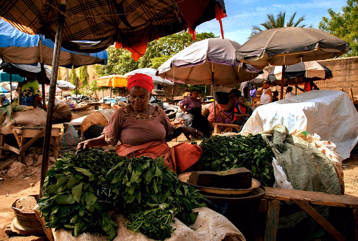 Secteurs économiques à Pointe-Noire : enjeux et adaptations