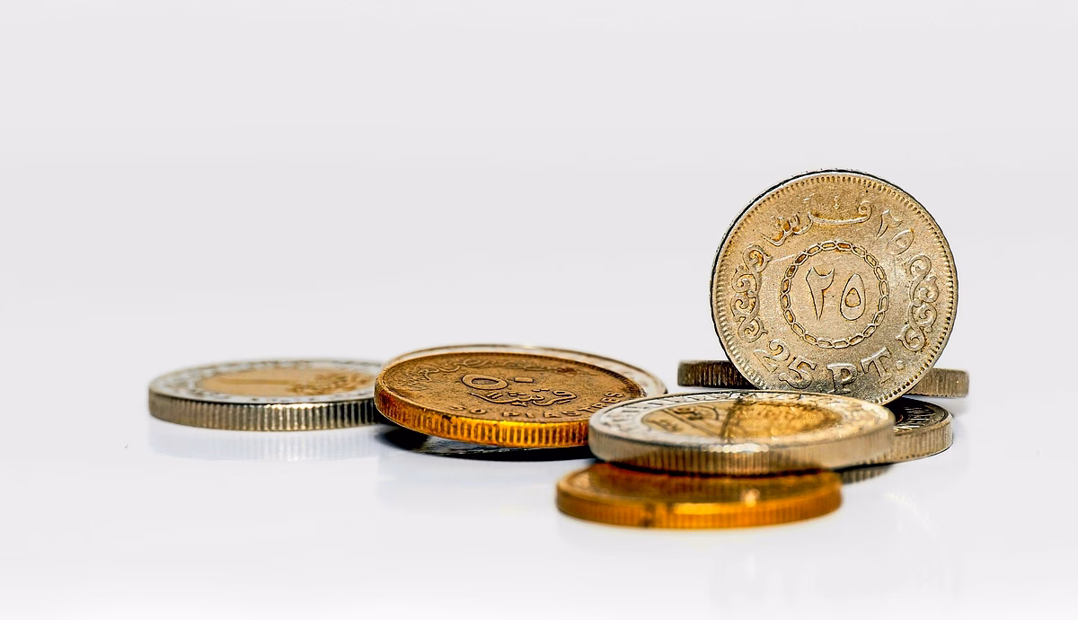 Impact des FMN sur les IDE en Algérie : Analyse