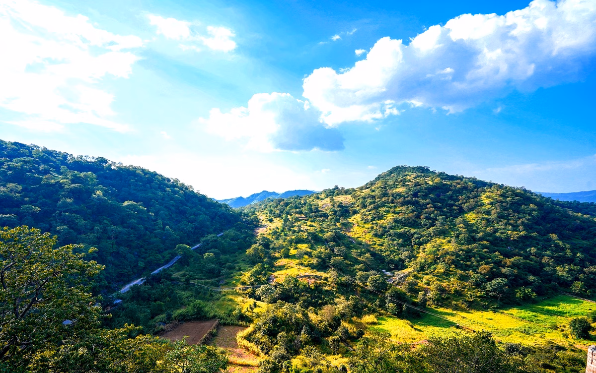 Femme algérienne et indépendance : étude de Dib