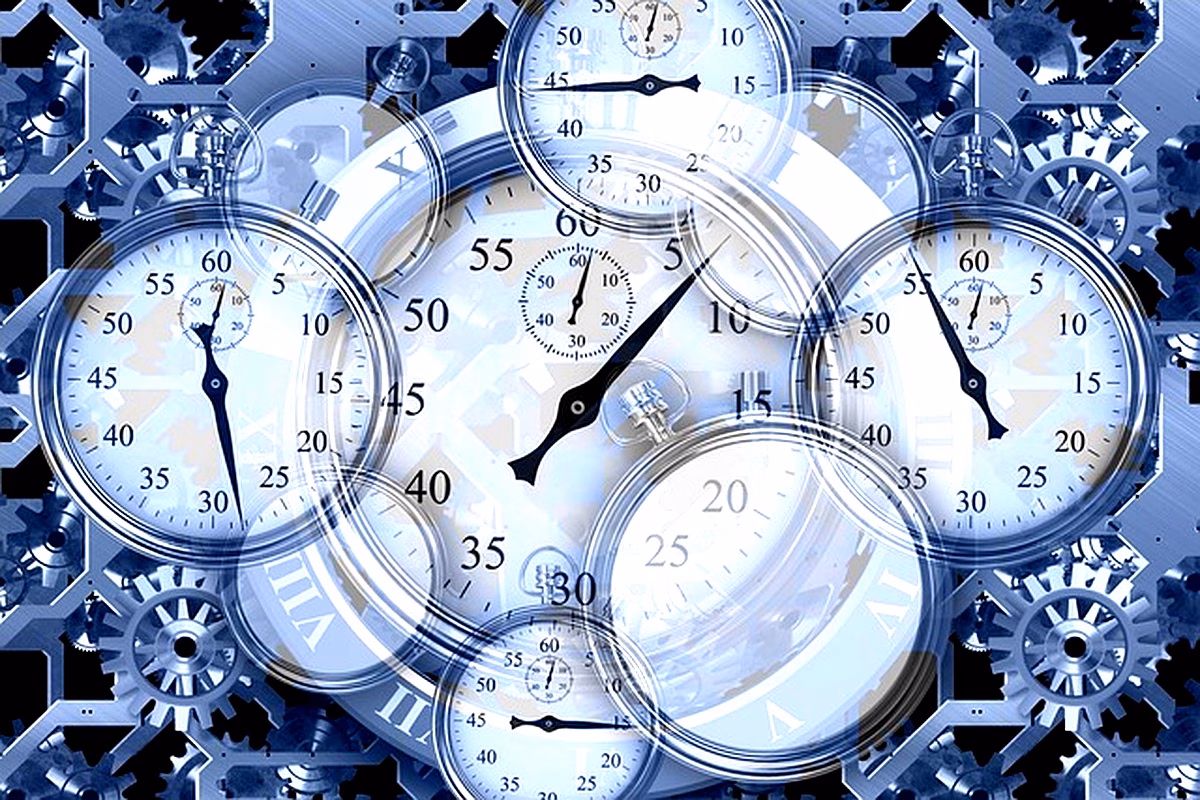 Organigramme de la RVA : structure et divisions