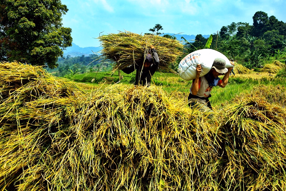 Salaire minimum en Côte d'Ivoire : enjeux et défis Salaire minimum en Côte d'Ivoire : enjeux et défis