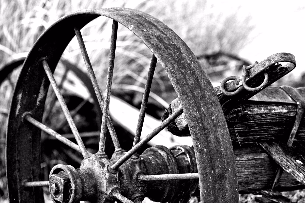 Historique de l'industrie cotonnière en Côte d'Ivoire