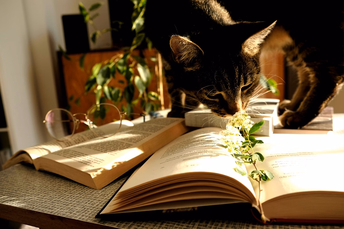 Méthodologie du green marketing en Afrique