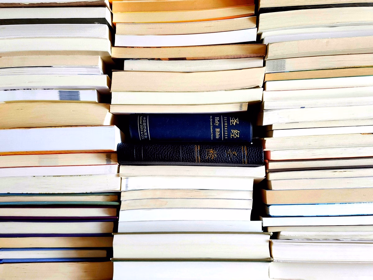 Représentativité linguistique du Sud dans le DDF