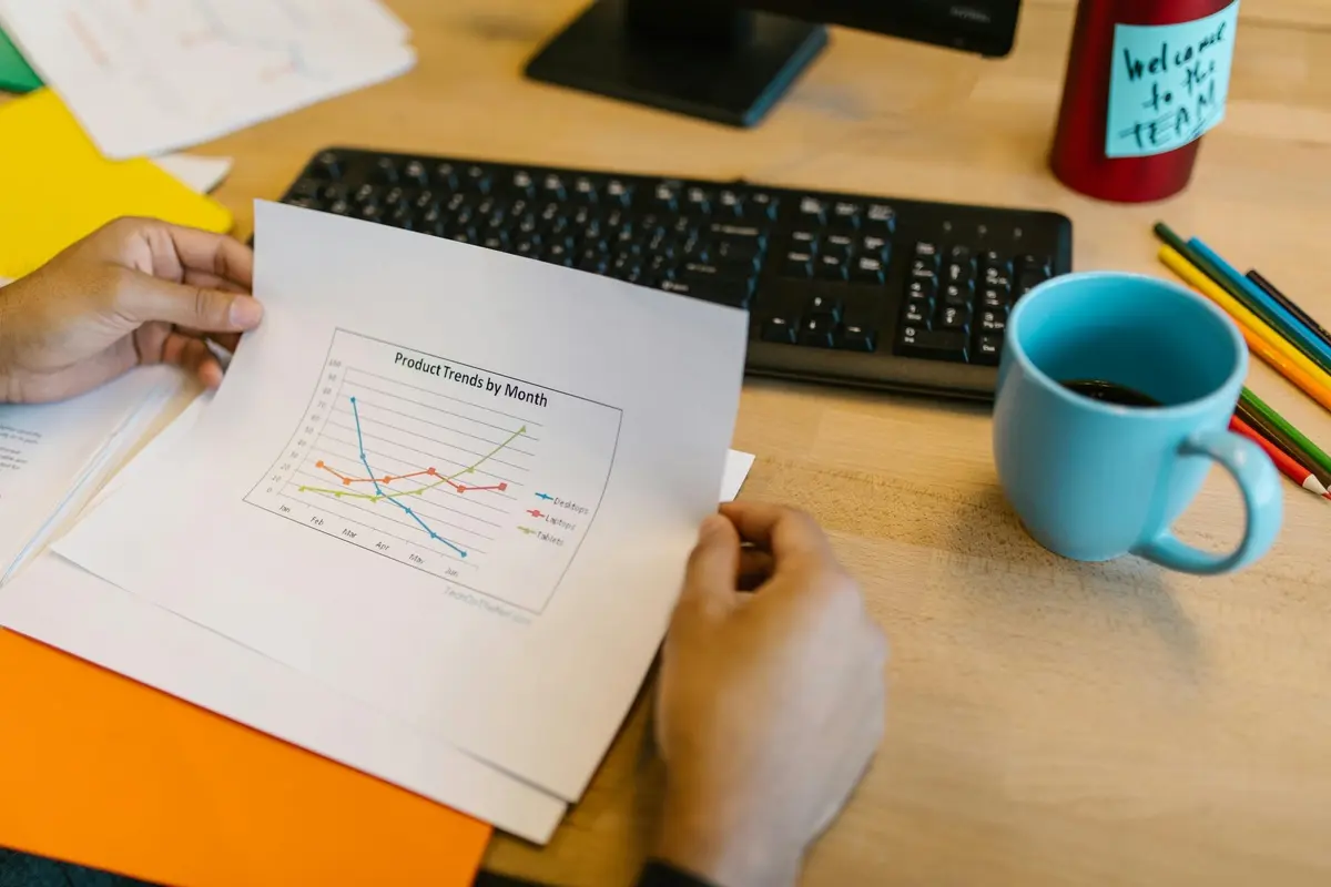 Perspectives futures de la privatisation au Cameroun