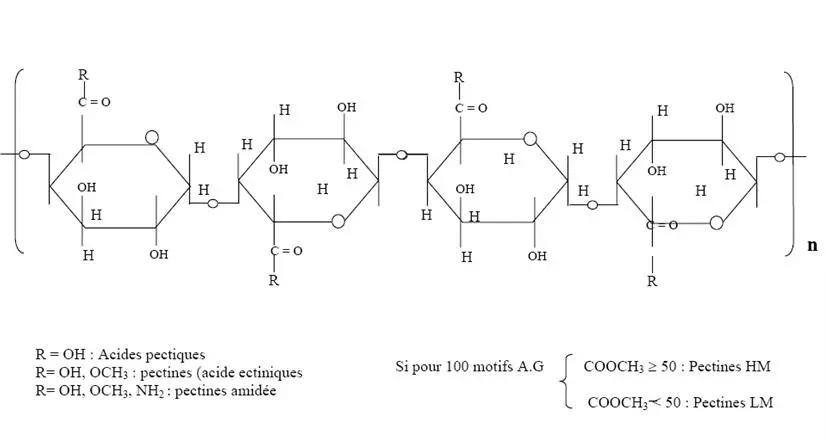 Image 11 - methodologie-echantillonnage-en-microbiologie-des-zones-humides Image 11 - methodologie-echantillonnage-en-microbiologie-des-zones-humides