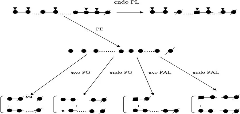 Image 14 - methodologie-echantillonnage-en-microbiologie-des-zones-humides Image 14 - methodologie-echantillonnage-en-microbiologie-des-zones-humides