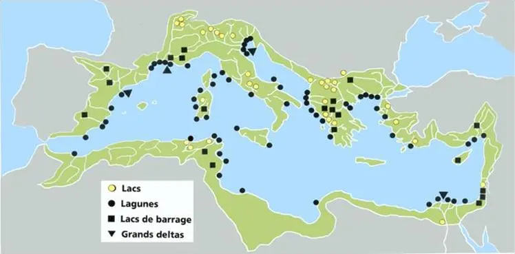 Image 3 - methodologie-echantillonnage-en-microbiologie-des-zones-humides méthodologie d'échantillonnage en microbiologie
