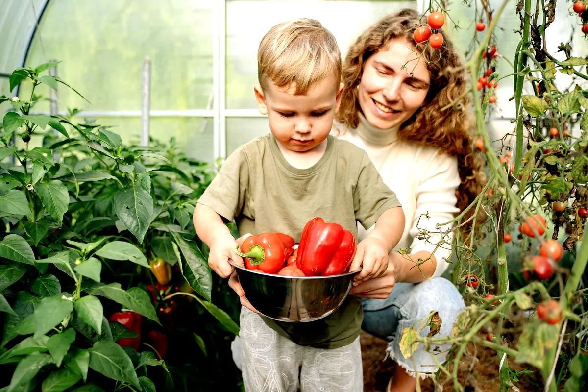 Cadre théorique de l'agriculture face à la variabilité climatique