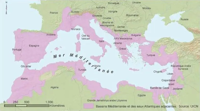 Comment le cadre théorique éclaire l'étude des zones humides Ramsar ?