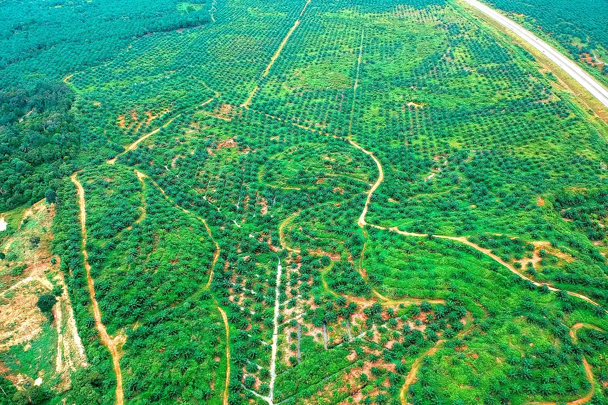 Solutions pratiques pour l'agriculture face au climat