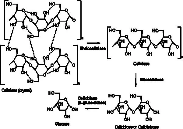 Image 2 - analyse-comparative-des-zones-humides-ramsar-en-algerie Analyse comparative des aspects éco-bactériologiques des zones humides Ramsar en Algérie
