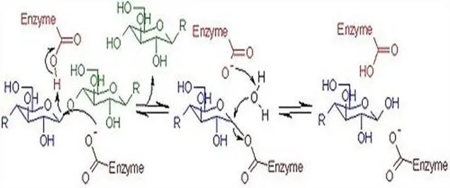 Image 21 - analyse-comparative-des-zones-humides-ramsar-en-algerie Image 21 - analyse-comparative-des-zones-humides-ramsar-en-algerie