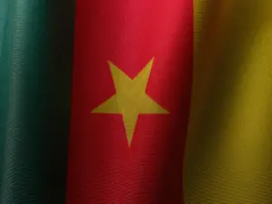 Stratégies de mise en œuvre des ajustements structurels au Cameroun