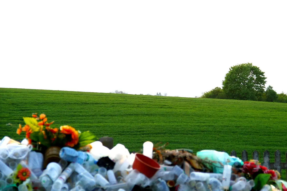 Étude approfondie sur la gestion des déchets organiques à Kisangani